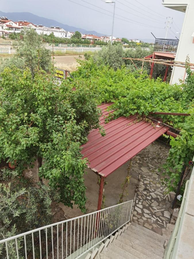 Adventurous Local Hostel 费特希耶 外观 照片
